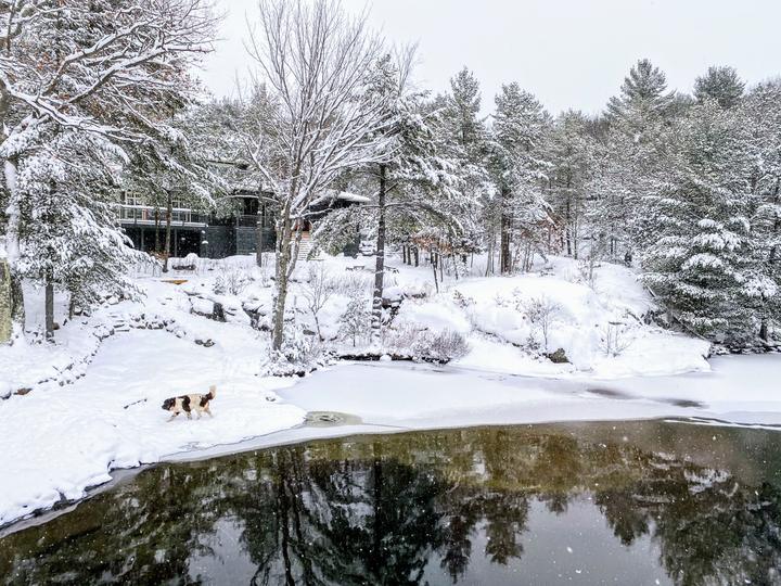 First snow along the shore