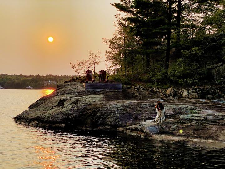 Evening on the rocks